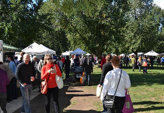 Weekly Elmwood farmers market brings out community