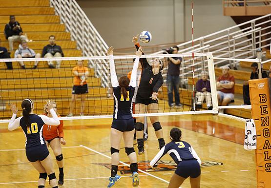 Raucous crowd on hand to witness wild win for volleyball