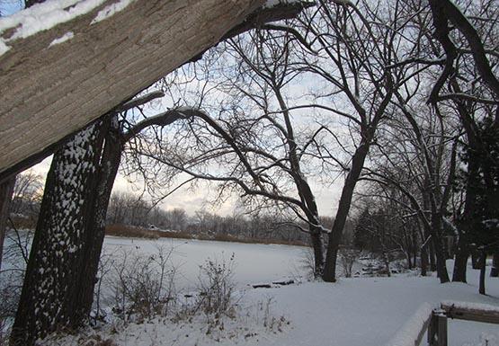 Winter Solstice celebrations get locals back to nature