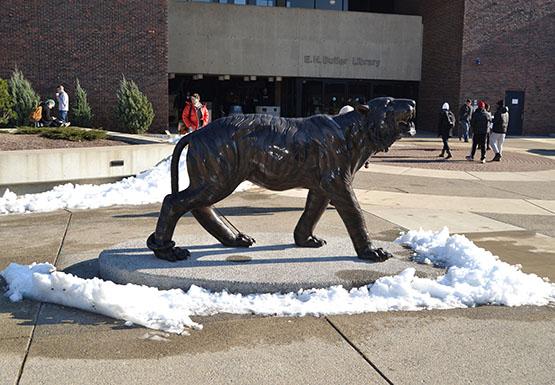 Buffalo State purchased a pair of Bengal statues at $10,000 apiece this semester. 