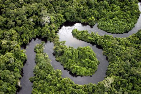 Why we should care about the Amazon