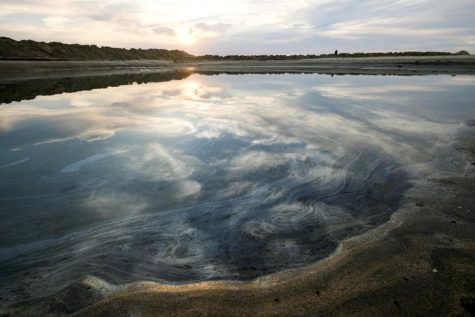 Oil in the waters of the Pacific. Photo credit: AP Photo/Ringo H.W. Chiu