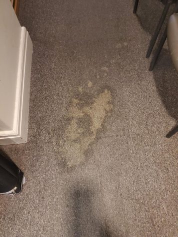 Bleach stain on carpet in office in Ketchum from cleaning crew.