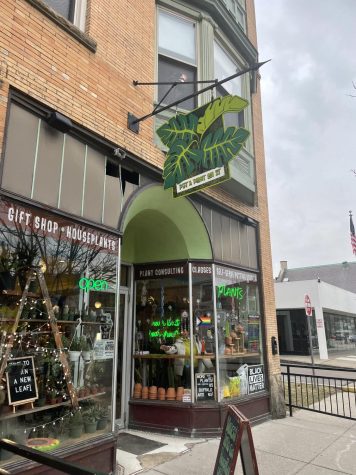 Shop Buffalo: Put a Plant on It