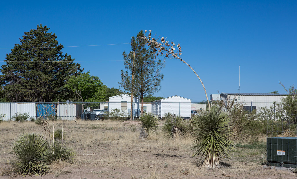 US+Border+Patrol%2C+Marfa%2C+Texas+by+Lars+Plougmann+is+licensed+under+CC+BY-SA+2.0.+To+view+a+copy+of+this+license%2C+visit+https%3A%2F%2Fcreativecommons.org%2Flicenses%2Fby-sa%2F2.0%2F%3Fref%3Dopenverse.