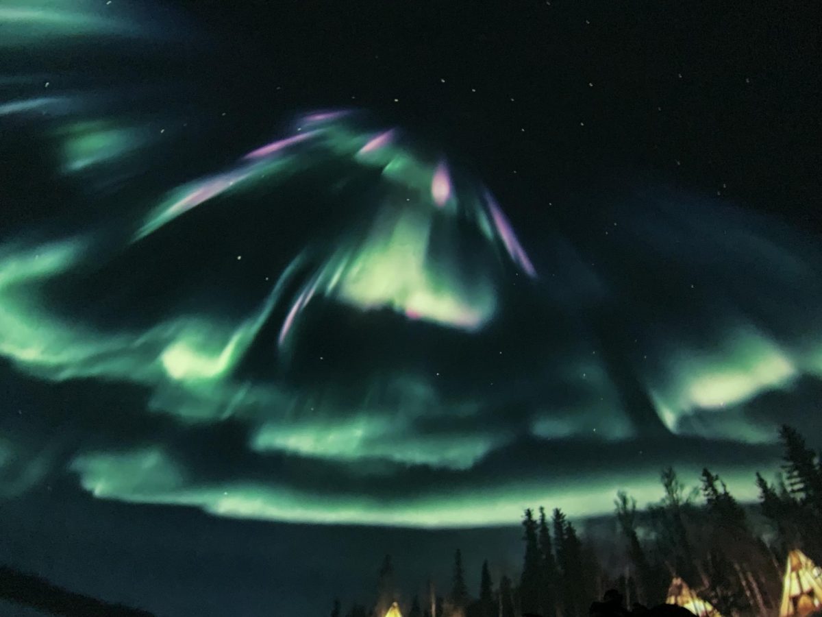 Amazing Auroras: W.F. Planetarium's Dazzling Display