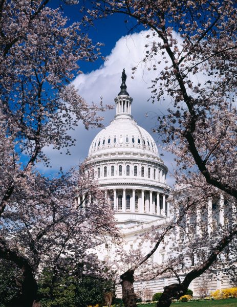 U.S. Capitol, Washington D.C. Original image from Carol M. Highsmith&rsquo;s America, Library of Congress collection. Digitally enhanced by rawpixel.