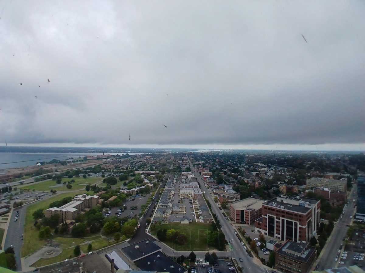 Overview of the city of Buffalo from City Hall top floor.