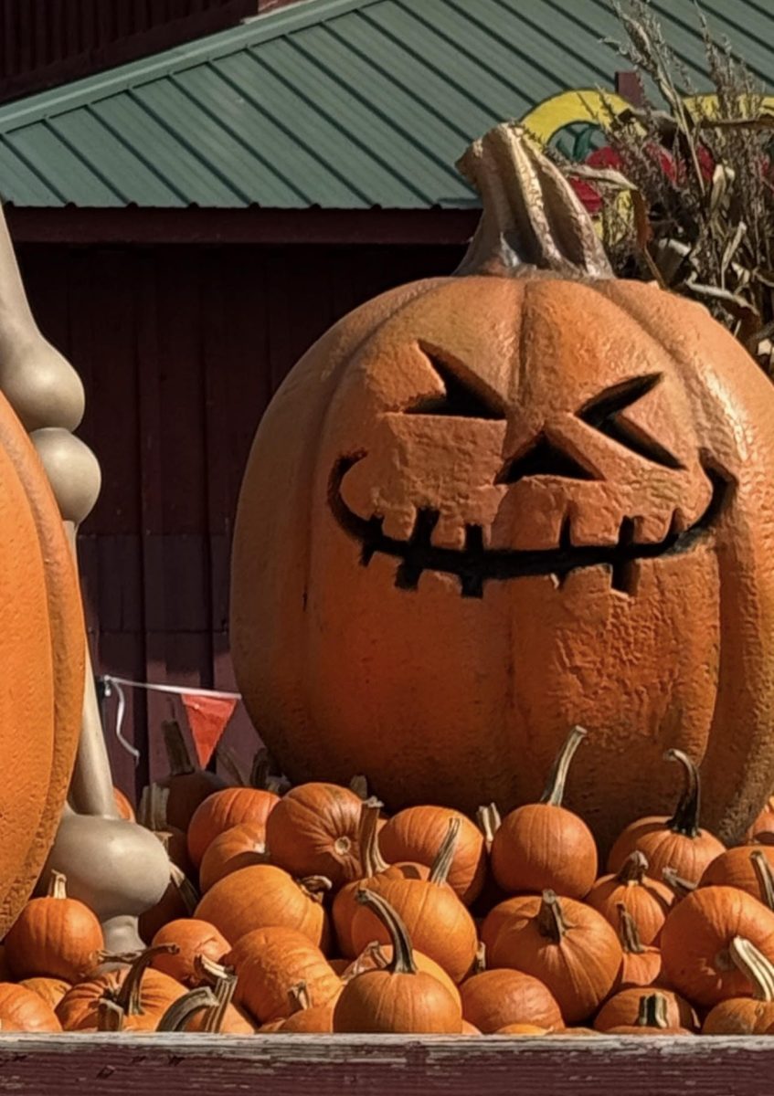 Autumn Reset: Seasonal Self Care Ideas