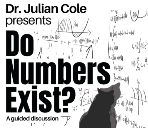 Do Numbers Exist?