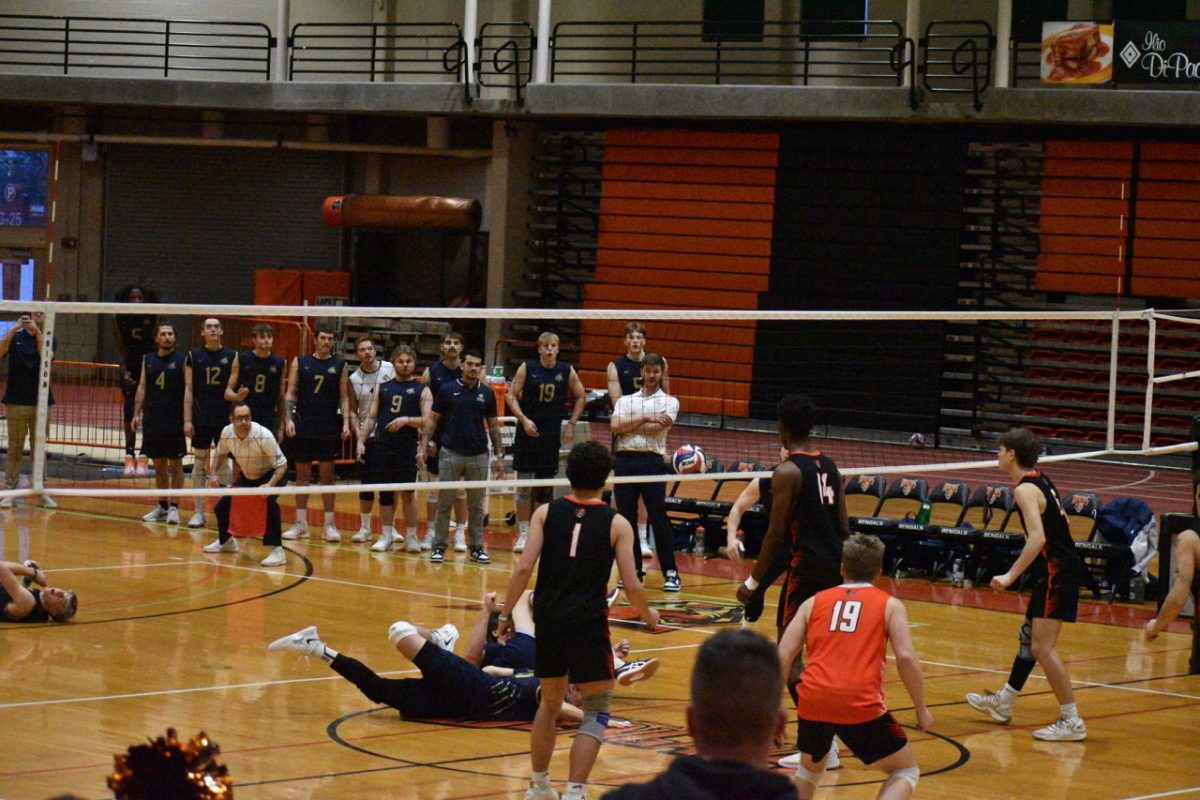 Diving into this week's Buffalo State Sports Round-up like...