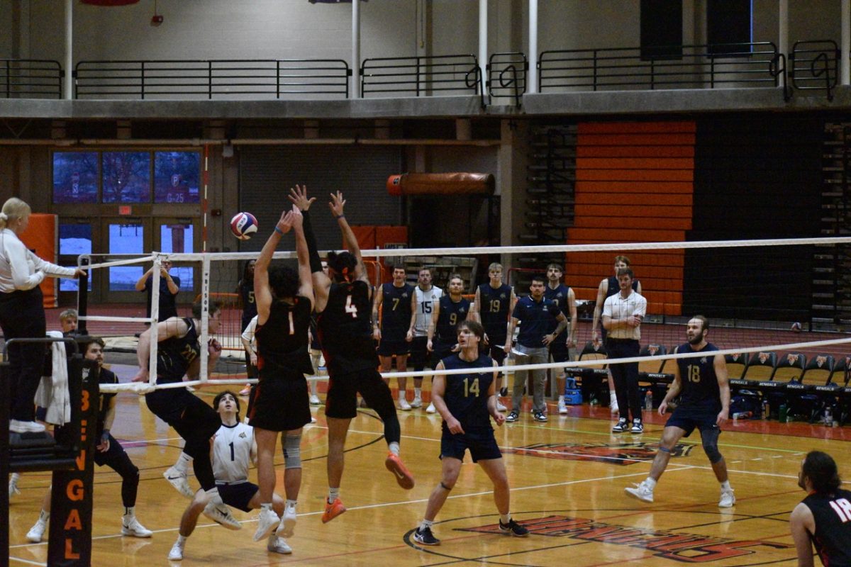 DSC_0656 Large