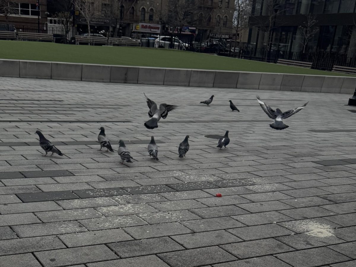 The Big City's chief ambassadors mid-flight.